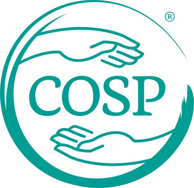 Circle of Security Logo